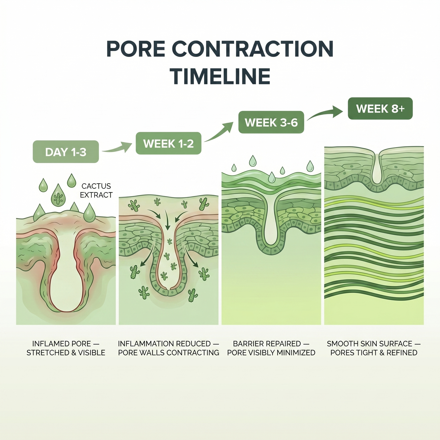 Pore Refining Cactus Balm